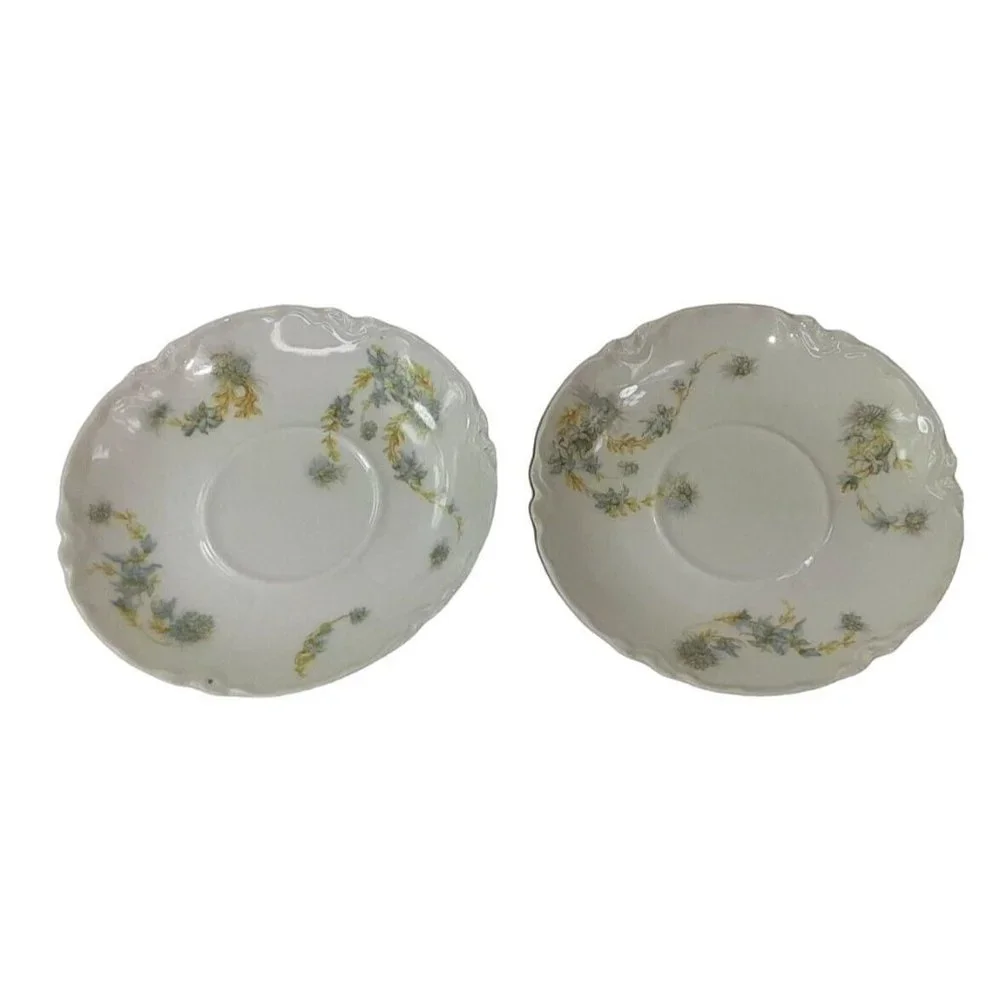 Haviland & Co Limoges France Saucers‎ Multicolor Floral 2 Sets of 2~ Lot …